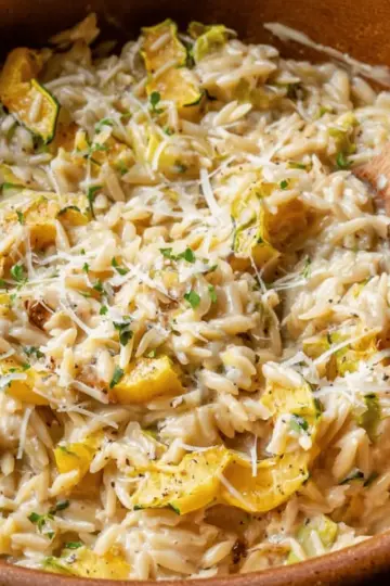 Creamy One Pot Delicata Squash Orzo