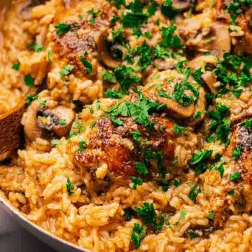 Smothered Chicken and Rice