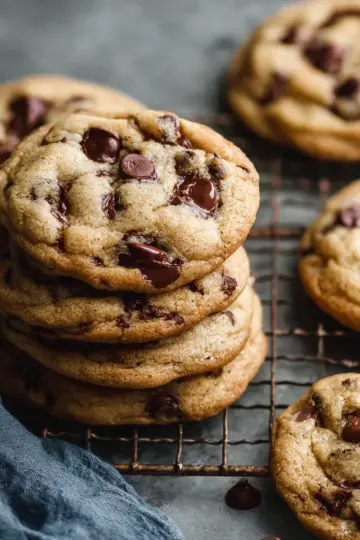 Chewy Chocolate Chip Cookies