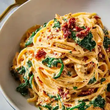 Spaghetti & Spinach with Sun-Dried Tomato Cream Sauce
